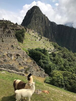 Last-minute Machu Picchu-tour per trein 2D/1N