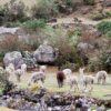 4-day Lares Trek to Machu Picchu with TreXperience
