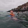 Palomino Islands Tour from Lima - Swim with sealions