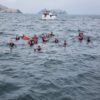 Palomino Islands Tour from Lima - Swim with sealions