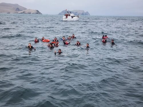 Palomino-eilanden tour vanuit Lima – Zwemmen met zeeleeuwen