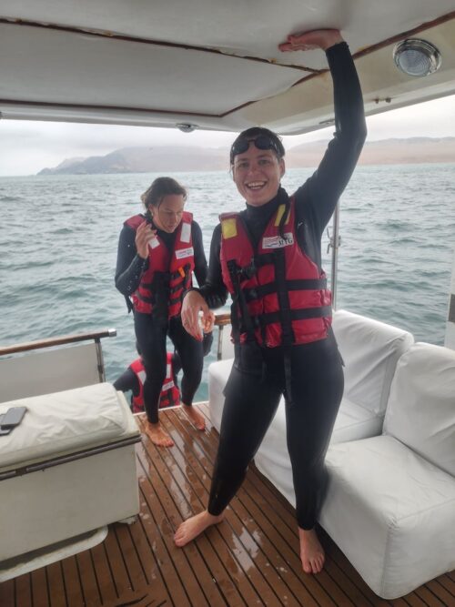 Palomino-eilanden tour vanuit Lima – Zwemmen met zeeleeuwen