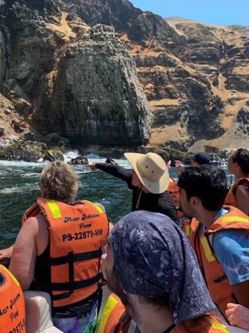 Palomino Islands Tour from Lima - Swim with sealions