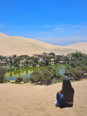 Pisco proeven en sandboarden + buggytocht