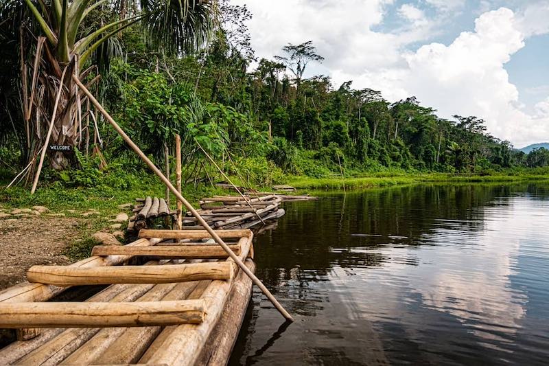 Manu National Park tour from Cusco, 4 days/3 nights | Wander Free Peru