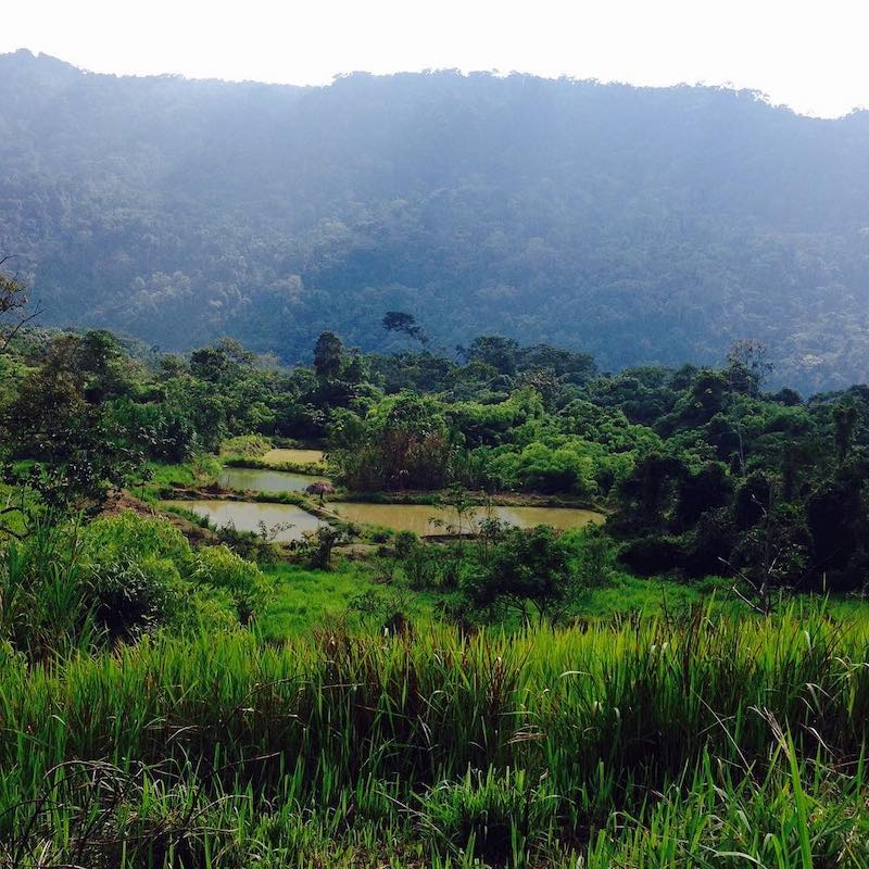 3-Day Manu National Park tour from Cusco | Wander Free Peru