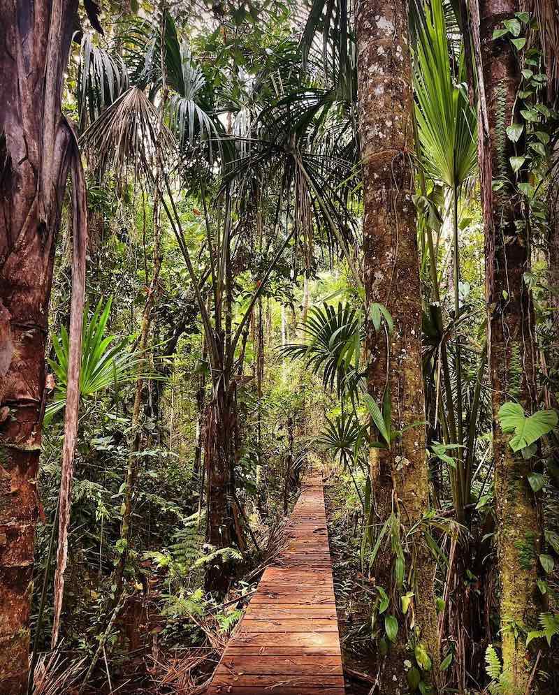 Manu National Park tour from Cusco, 4 days/3 nights | Wander Free Peru