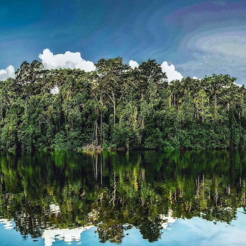 3-Day Manu National Park tour from Cusco | Wander Free Peru
