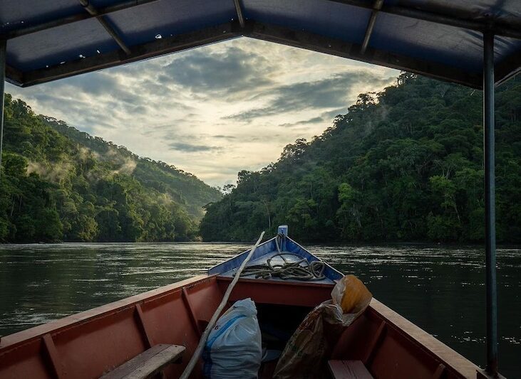 Traditional wooden rafts lined up on the banks of a river in Manu National Park.