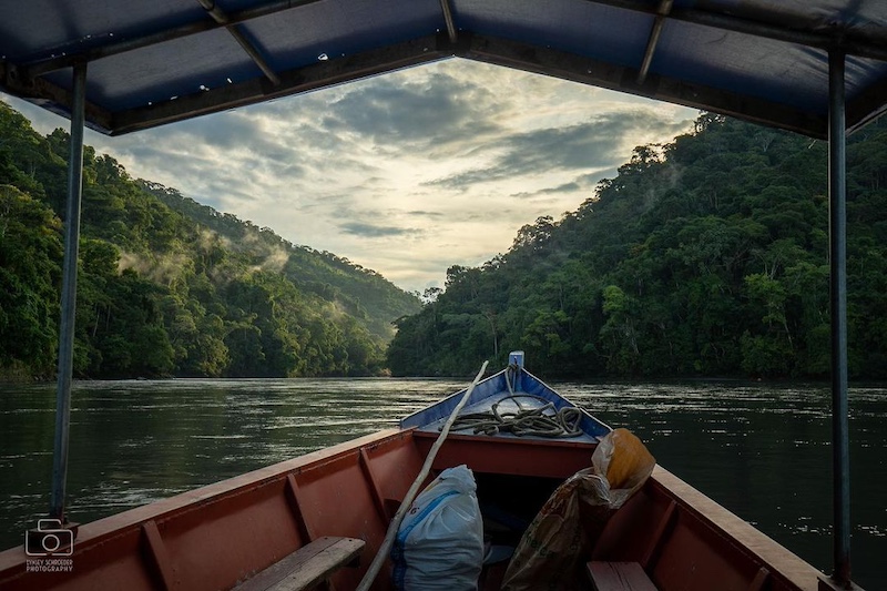 3-Day Manu National Park tour from Cusco | Wander Free Peru