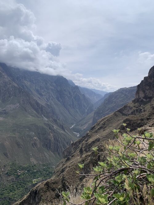 Colca Canyon Trek 3 days