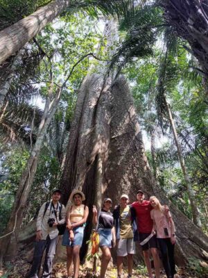 puerto-maldonado-activity-wildlife-nature Puerto Maldonado 3 days Macaw Clay Lick and Mammal Clay Lick tour