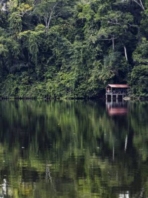 Snapinsta.app_300157231_3375601919386882_4220742540323909860_n_1080 5-day Manu Reserved Zone tour - Guadalupe lodge, Casa Matsiguenka lodge