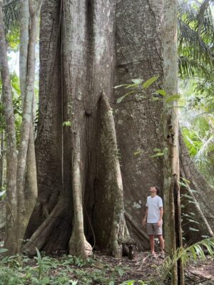 puerto-maldonado-big-tree-tambopata 4-Day Amazon jungle tour & Finca Sachavacayoc Lodge - Premium