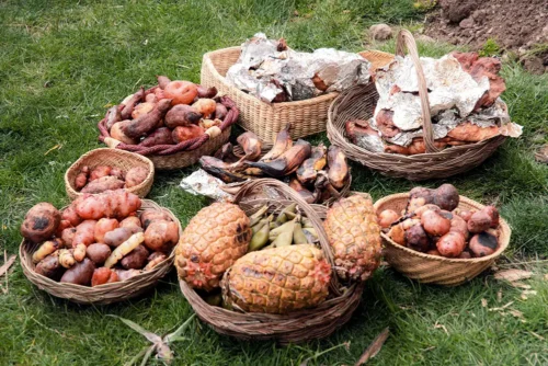 Salkantay Trek to Machu Picchu 5 days - Comfort