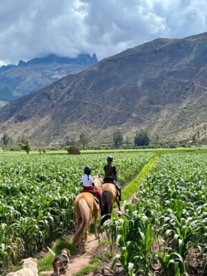 sacred-valley-horse-riding-ruta-del-maiz Horseback riding Sacred Valley