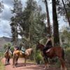 Horseback riding Sacred Valley