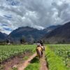Horseback riding Sacred Valley