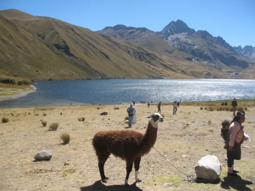 queropalca-huaraz-lake-tour Chavin de Huantar tour from Huaraz + Querococha Lagoon (Full Day)